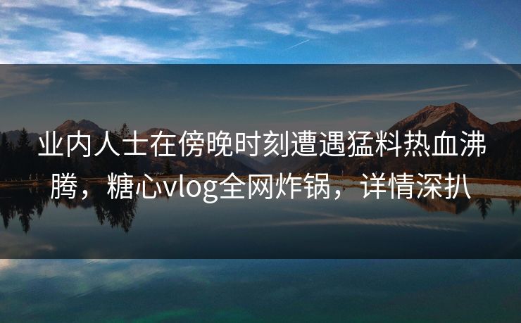 业内人士在傍晚时刻遭遇猛料热血沸腾,糖心vlog全网炸锅,详情深扒